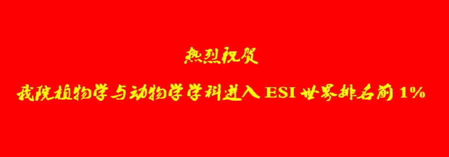 开云体验app官方入口新手怎么玩植物