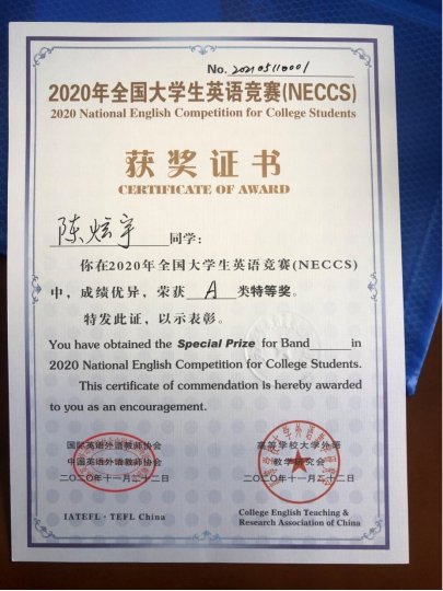 陈炫宇荣获2020年全国大开云体验a